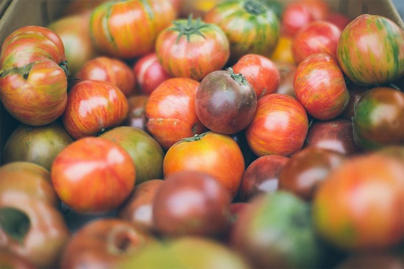 Bunte tomaten frische zutaten catering frankfurt