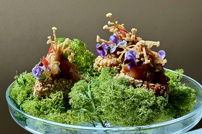 Elements Catering Frankfurt Crabcake Premium Fingerfood Moos Inszenierung