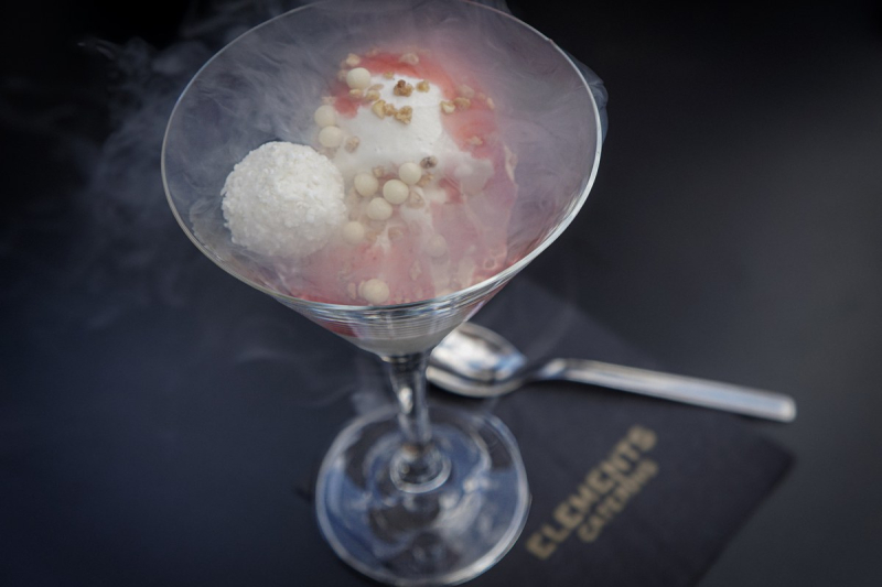 Elements catering frozen yogurt dessert klassikstadt frankfurt