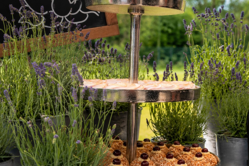 Elements catering sommerfest dessert biotest frankfurt