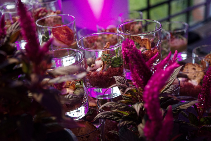Elements catering steak tatar corporate event klassikstadt frankfurt