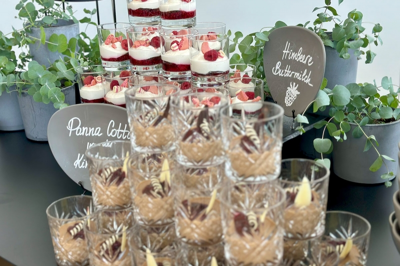 Himbeere Buttermilch & Panna Cotta