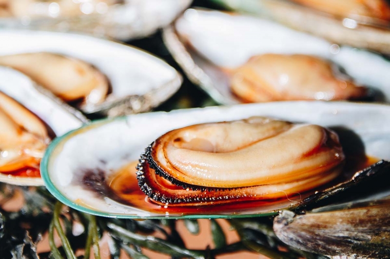 Muschel Rhein Main Eventcatering