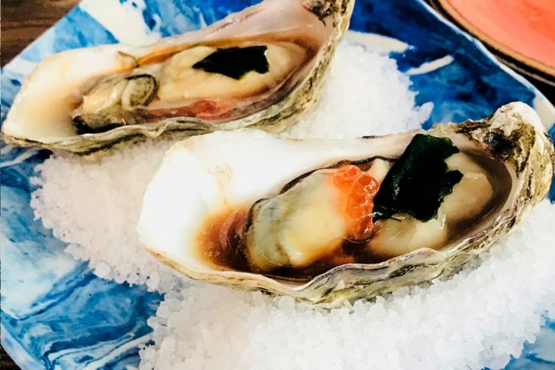 Oysters