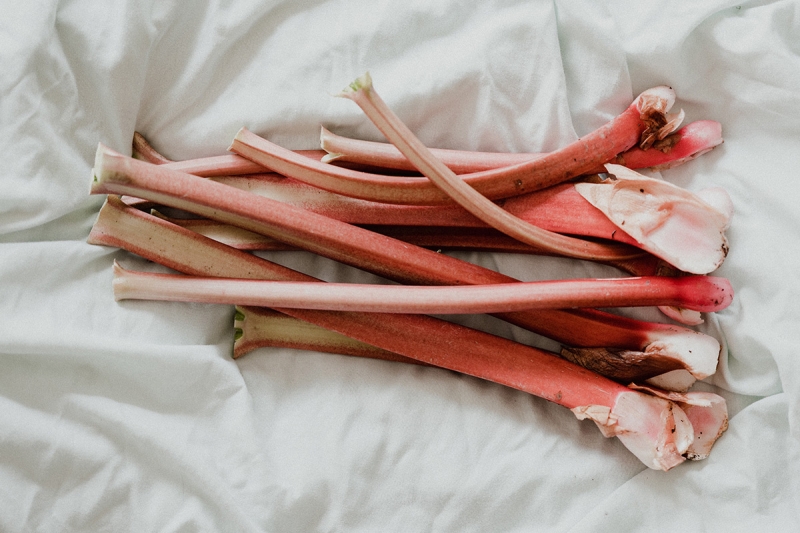 Rhabarber Saisonales Catering Frankfurt