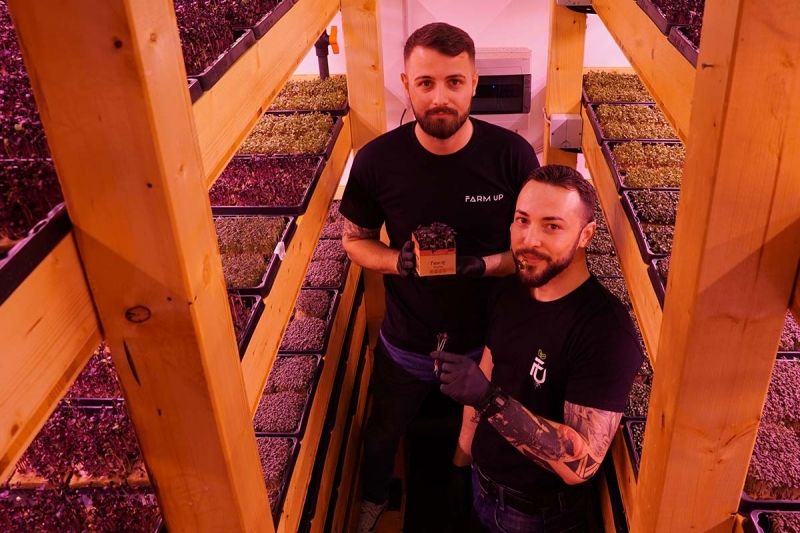 Team Farm Up Micro Greens Regionale Erzeuger