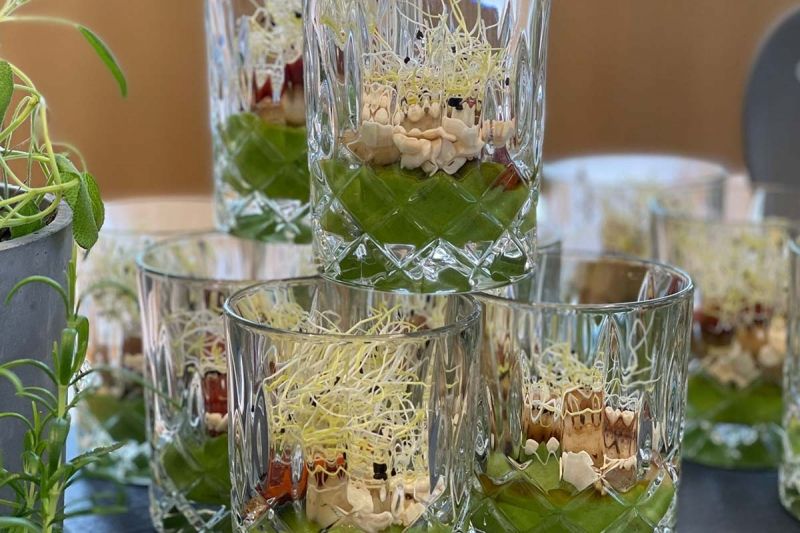 Vorspeisen im Glas Jakobsmuschel mit Erbse