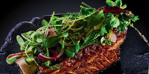  Salat Catering Frankfurt