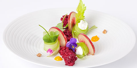 Salat Catering Frankfurt  Salat Catering Frankfurt