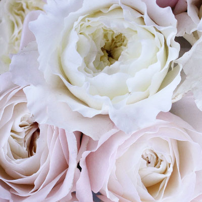 Dekoservice Hochzeit Frankfurt
Dekoservice Hochzeit Frankfurt