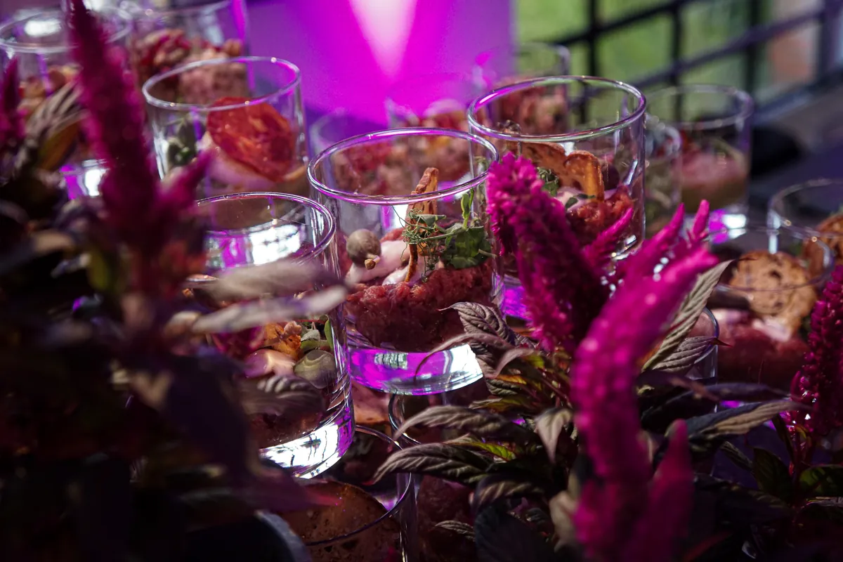 Steak Tatar im Glas zwischen Blüten im pinken Licht